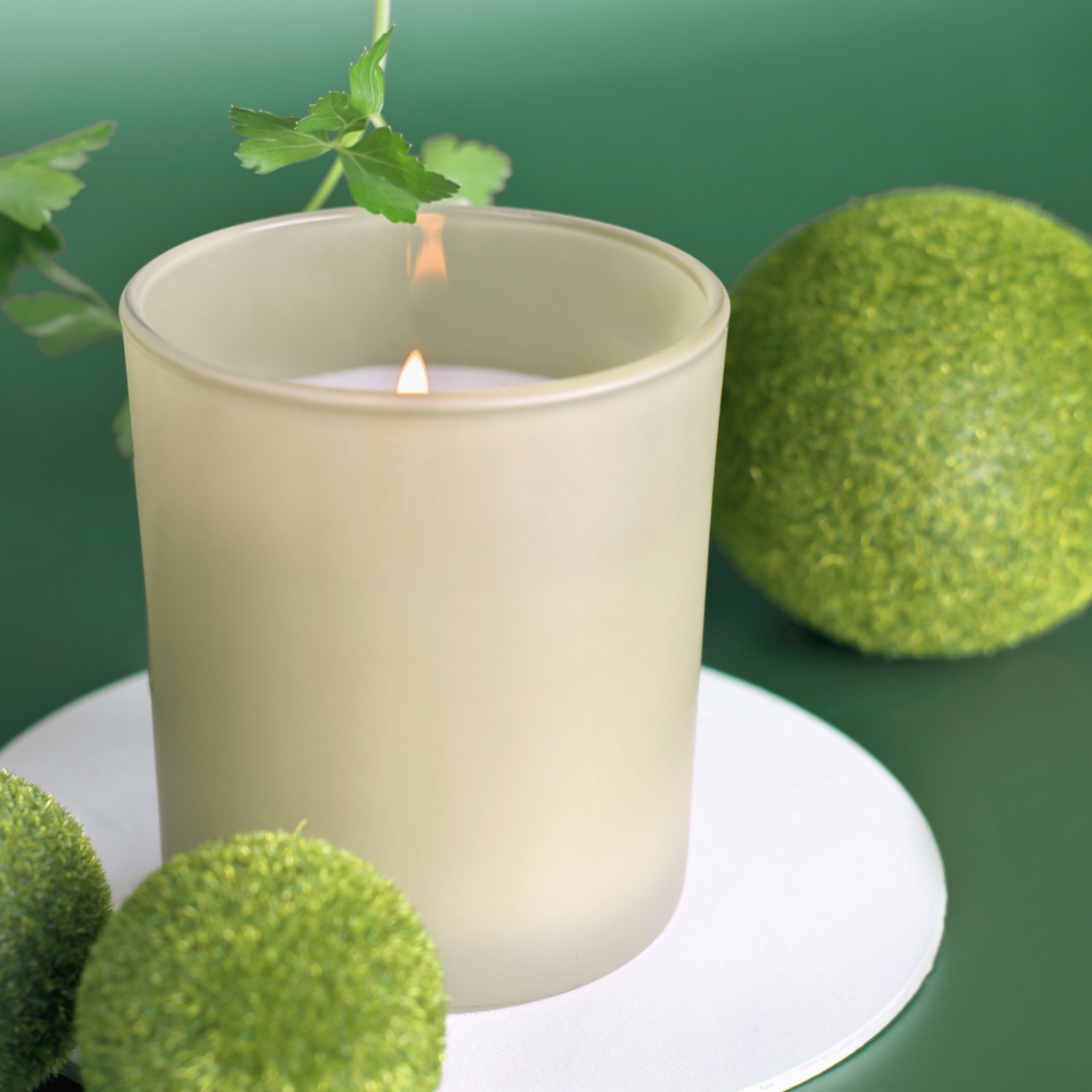 Lime Solstice – Lime